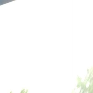 Meet your Posher, Kylee